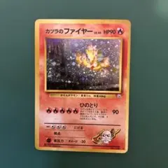 旧裏　カツラのファイヤー、ウィンディセット m54846704501_1.jpg?1755791962