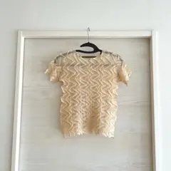 イッセイミヤケ　華やか　シアー　トップス　半袖　極美品　フリル