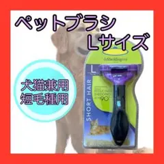 Item thumbnail for item 190fceca-9aa8-4d09-ad76-49cfe8416de1