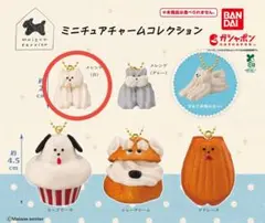 メゾンテリア　ガチャガチャ　メレンゲ白