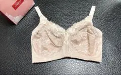 Item thumbnail for item 2e981654-2ace-453b-85c3-f6eddac25a44