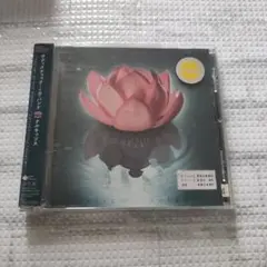 ナルキッソス
