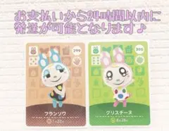 未使用.あつ森amiiboカード.フランソワ＆クリスチーヌ