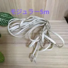 ホワイト モジュラーケーブル 5m