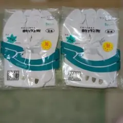 Item thumbnail for item cf1b361f-7b51-41fc-b6dc-c7cecf34e067