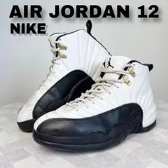 NIKE ナイキ AIRJORDAN 12 エアジョーダン 12 Taxi 27