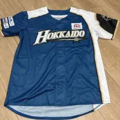 北海道日本ハムファイターズ 来場者プレゼント