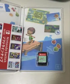 あつまれ どうぶつの森 Nintendo Switch