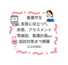看護学生　実習効率化　国試対策まで盛りだくさん