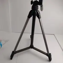 Item thumbnail for item 41cc3b0f-8a20-4258-9eaf-a1026009622f