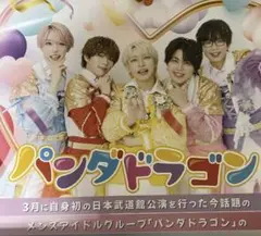 パンダドラゴン ポスター　全6種　集合　ようた　なぎ　たいが　なるぎ　ぱっち