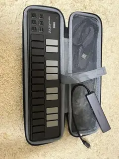 Item thumbnail for item d4782f17-7f12-423b-885d-d5504bad3248