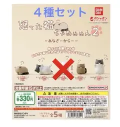 【新品】怒った猫ちゃあぁぁん2 〜あなざーからー〜