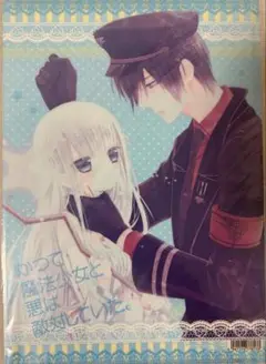 かつて魔法少女と悪は敵対していた。 クリアファイル