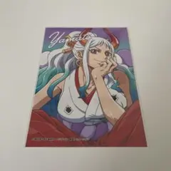 ヤマト ONEPIECE 生ブロマイド ジャンフェス