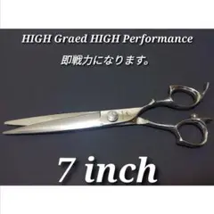 Item thumbnail for item 8a8d6b12-0bfc-4fd9-81ef-e43799074fe1