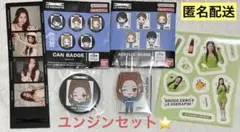 LE SSERAFIM ユンジン 缶バッジ アクリルバッジ HMV ルセラ