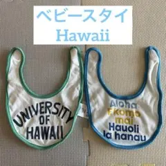 ハワイ大学デザイン スタイ2枚セット