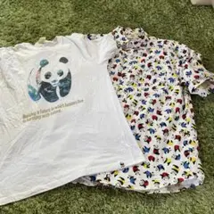 半袖シャツ