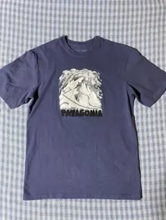 パタゴニア　レスポンシビリティー　プリントTシャツ(S) 美品