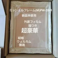 ミッシェルフレーム(M)PW-2841