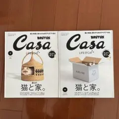 CasaBRUTUS(カ−サブル−タス 2022年6月号