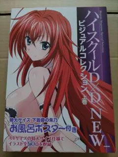 ハイスクールD×D ビジュアルコレクション メガミマガジン スペシャルセレクション『ハイスクールD×D