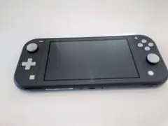 ジャンク Nintendo Switch LITE グレー