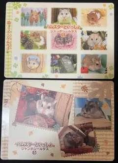 ハムスターといっしょ ジャンボシールダス ①と③ 2種セット ※1枚のみ欠品有
