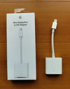 Apple Mini Displayport to DVI Adapter