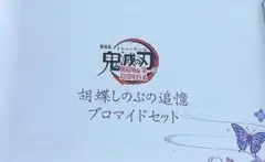 鬼滅の刃 劇場版 無限城編 胡蝶しのぶの追憶 ブロマイドセット　胡蝶　映画