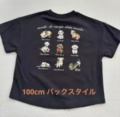 コトリ　ユキエモン　Tシャツ　100cm