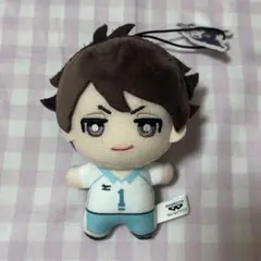 及川徹 ハイキュー ぬいぐるみ サンリオ