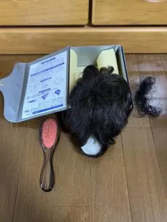 ビューティーライフ 頭頂部ウィッグ 色5 新製品