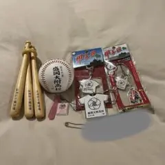 盛岡大附 野球ユニフォーム 4点セット 最終値下げ】 盛大附属 盛附 野球 公式ユニフォーム XL？ - メルカリ