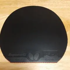ディグニクス05黒2.1