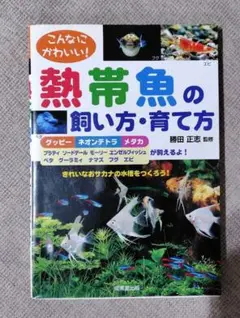 こんなにかわいい!熱帯魚の飼い方・育て方