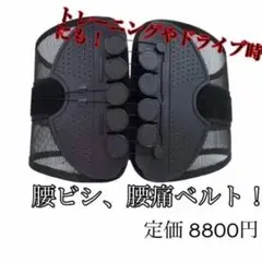 【新品送料無料】 腰痛ベルト 姿勢矯正 腰椎ベルト トレーニングベルト L