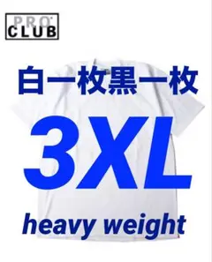PROCLUB プロクラブ tシャツ　3XL 白一枚　黒一枚　　新品　半袖