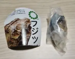 ネイチャーテクニカラーMONO PLUS　ミネフジツボ