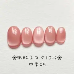 【即購入ok・チップ変更可能】マグネットネイルチップ　ニュアンス　四季09