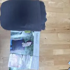 Item thumbnail for item 0f712bab-2f0f-496c-bfcb-80344b8b6a52