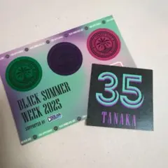 千葉ロッテ　田中晴也　＃35 ステッカー　BSW