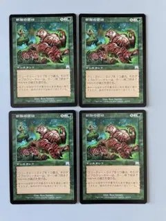 MTG 部族の団結　日本語　4枚