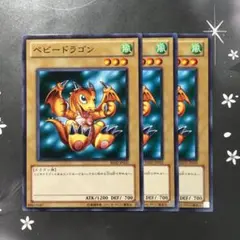 9771 ベビードラゴン