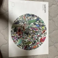Wacom intusPro Mサイズ