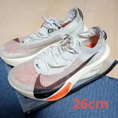 Item thumbnail for item 155ad210-d92b-4baa-a2b9-d91411efa21a