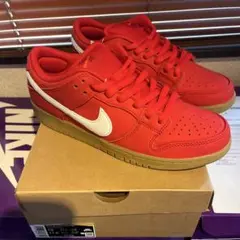 SB DUNK LOW PRO