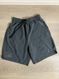 ミシガン大学　バスパン