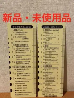 意識レベル表付きゲージ付きスケール２枚セット